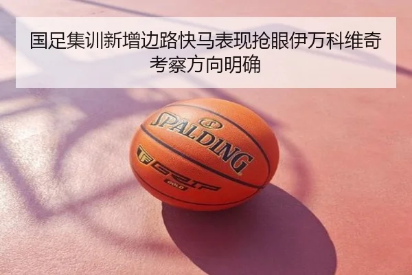国足集训新增边路快马表现抢眼伊万科维奇考察方向明确